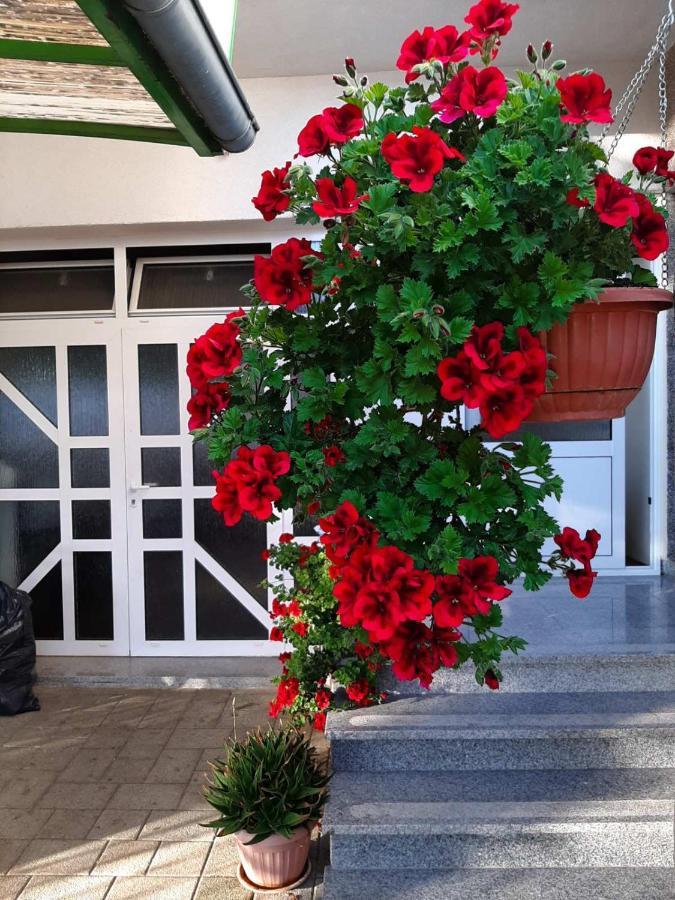 Apartment Bracic Vodice Luaran gambar