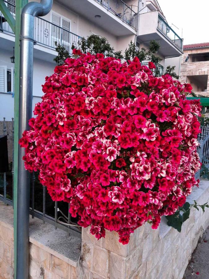 Apartment Bracic Vodice Luaran gambar